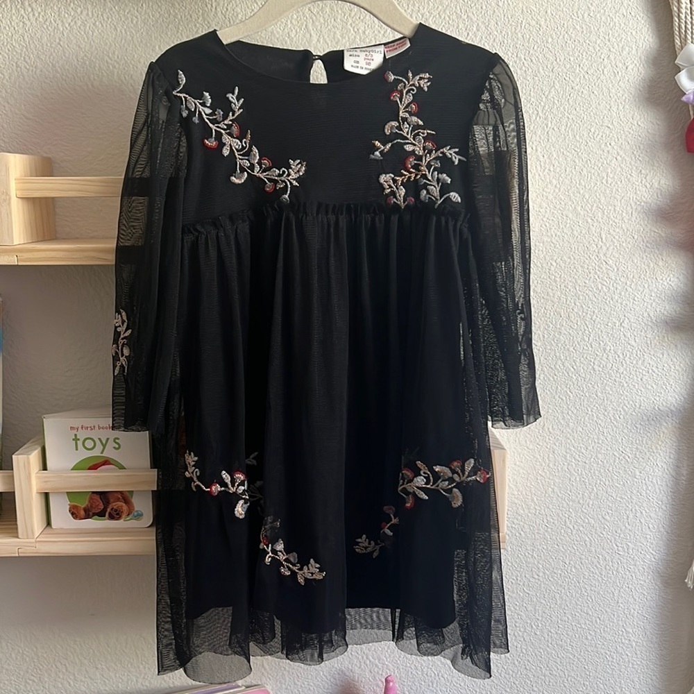 Zara Black Embroidered Mesh Kids Dress